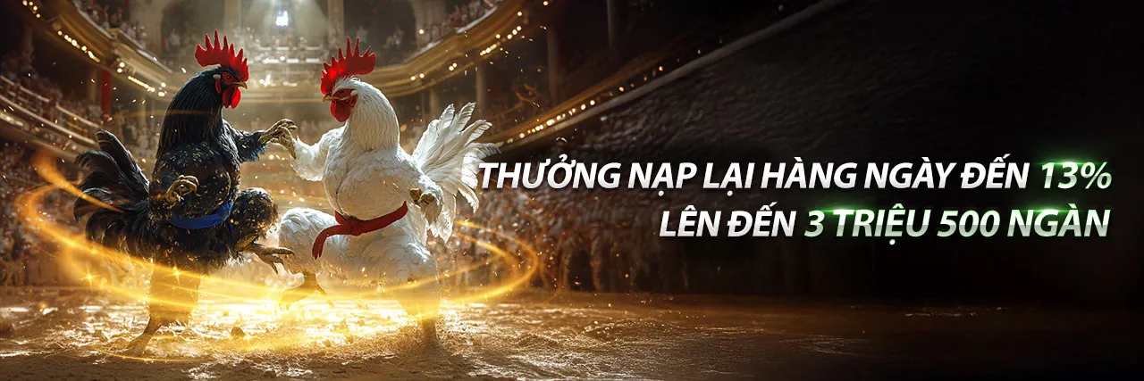 Đá Gà Trực Tuyến Hấp Dẫn tại 8day8 đăng nhập